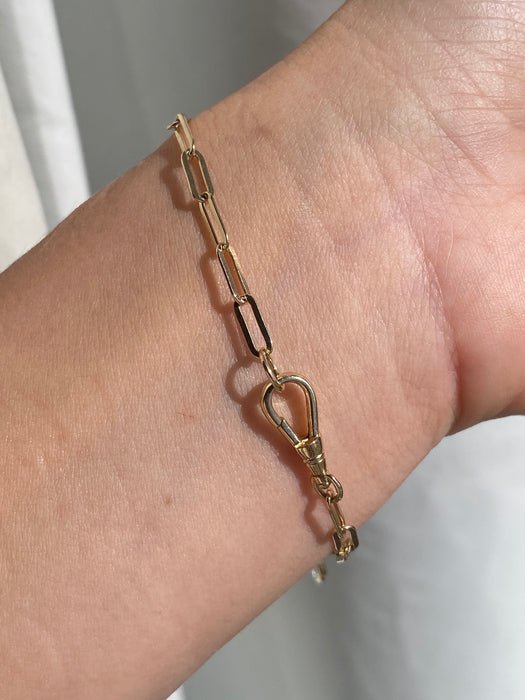 14k Gold Lab Diamond Bezel Charms Paperclip Bracelet With Dog Clip