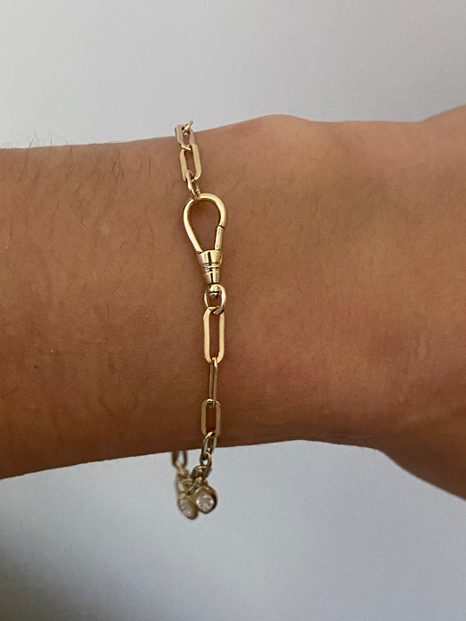 14k Gold Lab Diamond Bezel Charms Paperclip Bracelet With Dog Clip